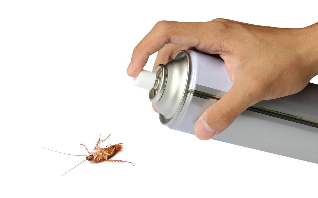 can you spray bug spray on mattress